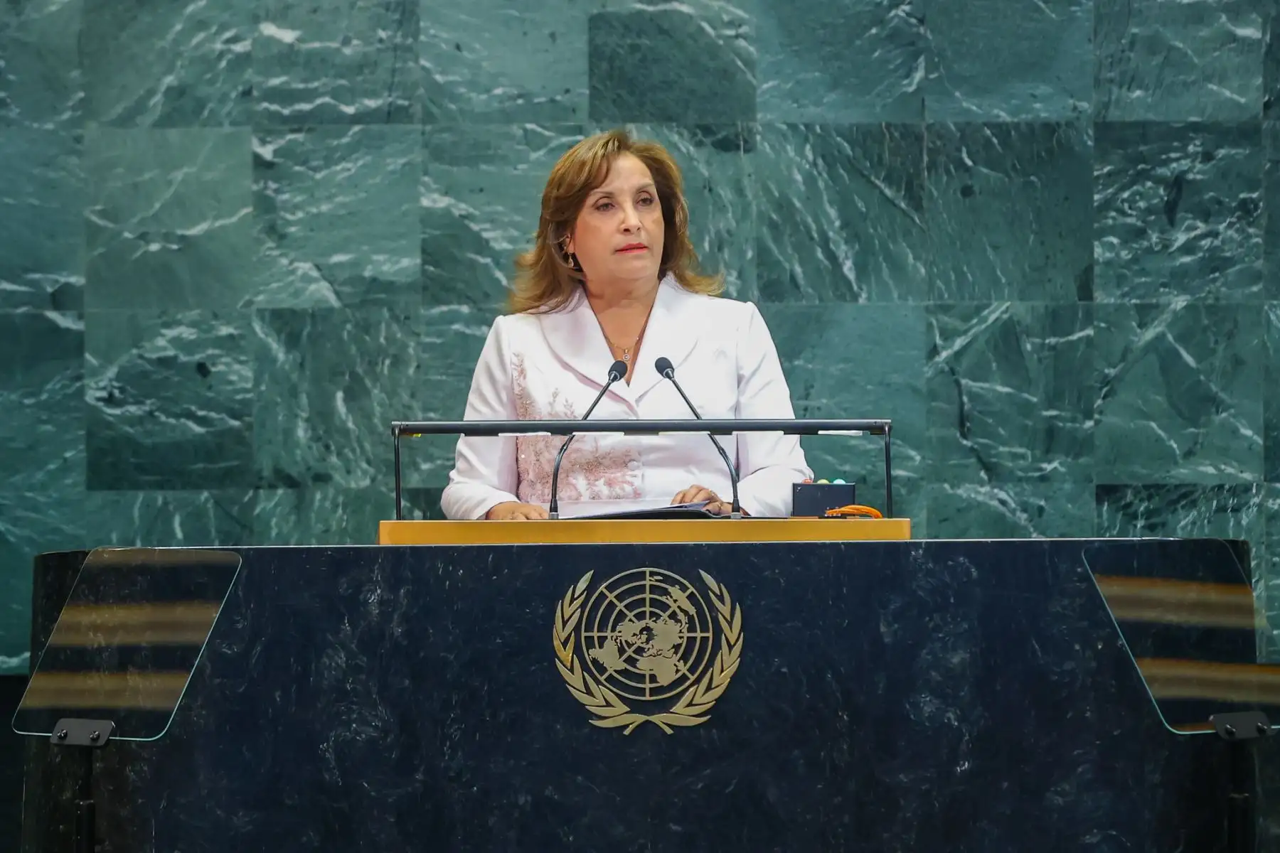 ANDINA/Prensa Presidencia