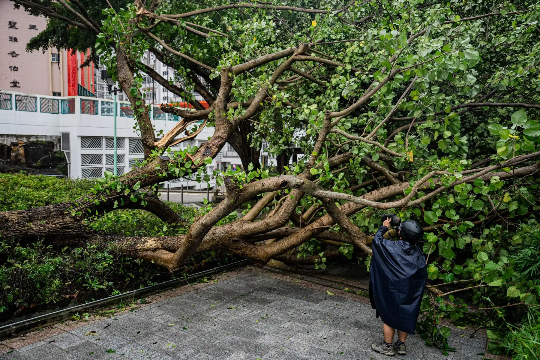 Los vientos arrancaron la parte superior de una pasarela peatonal, mientras que muchos de los famosos rascacielos del horizonte hongkonés se balanceaban con el viento. Foto: AFP