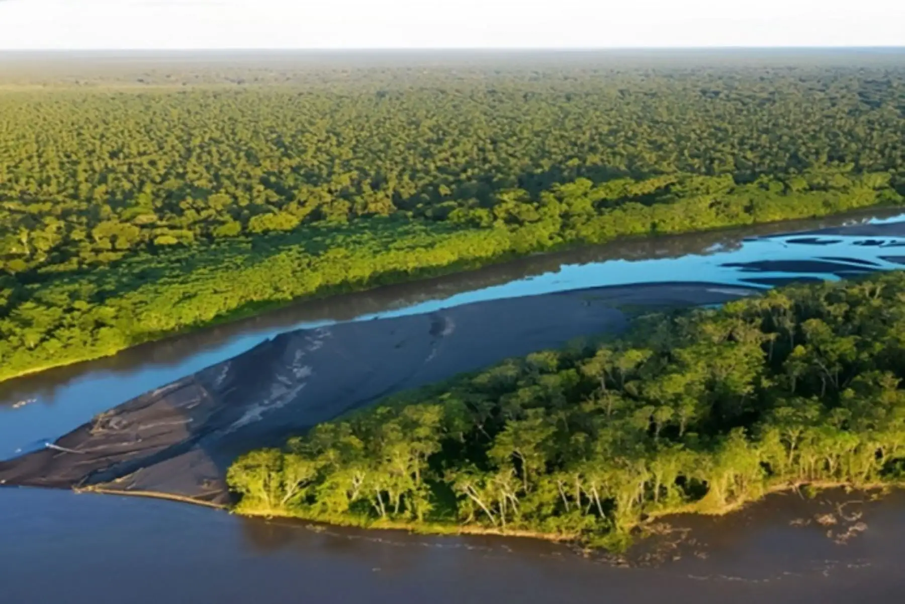 Las turberas amazónicas son humedales con suelos ricos en carbono que regulan el clima, conservan nuestra biodiversidad y sustentan a las comunidades locales.