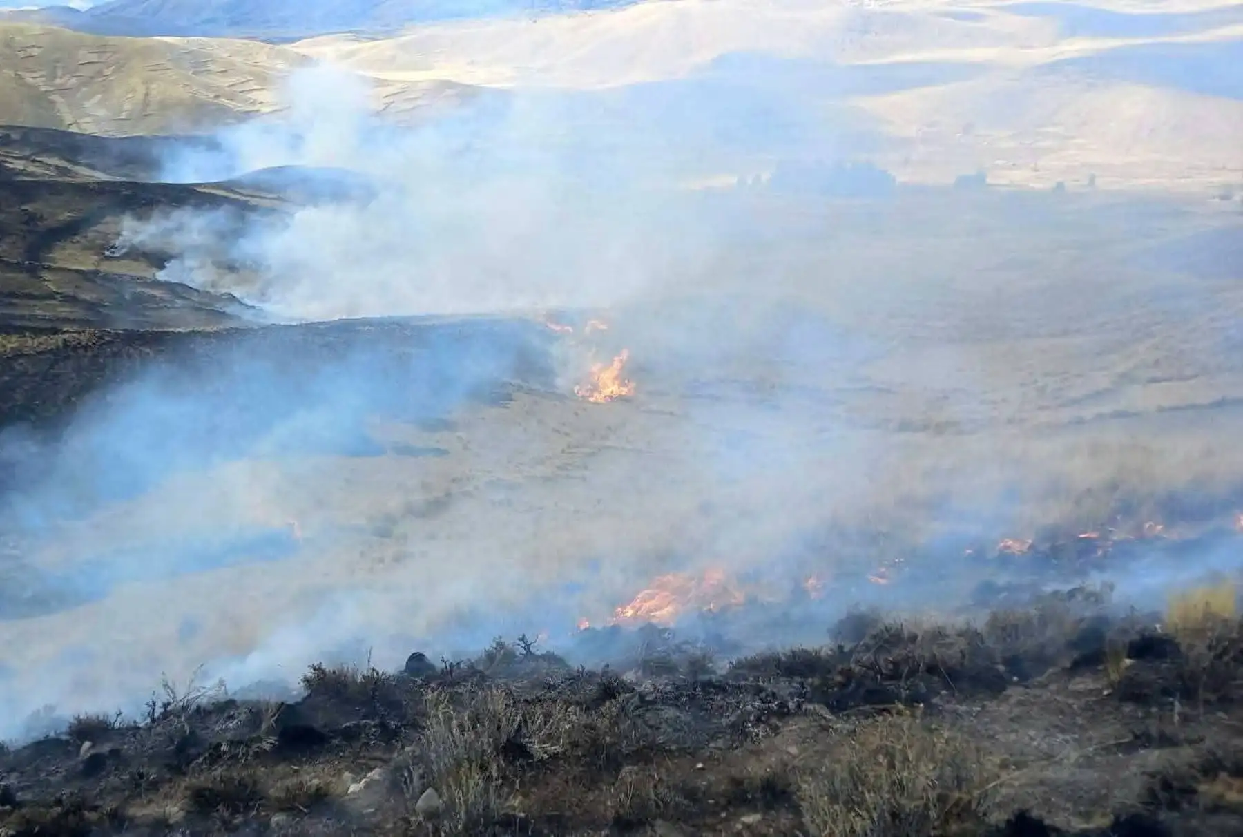 Reportan incendio forestal en distrito arequipeño de Chiguata