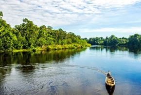 El Perú obtuvo un financiamiento de US$ 30 millones de la cooperación internacional que permitirá implementar acciones de conservación de la Amazonía, destacó el Minam. ANDINA/Difusión