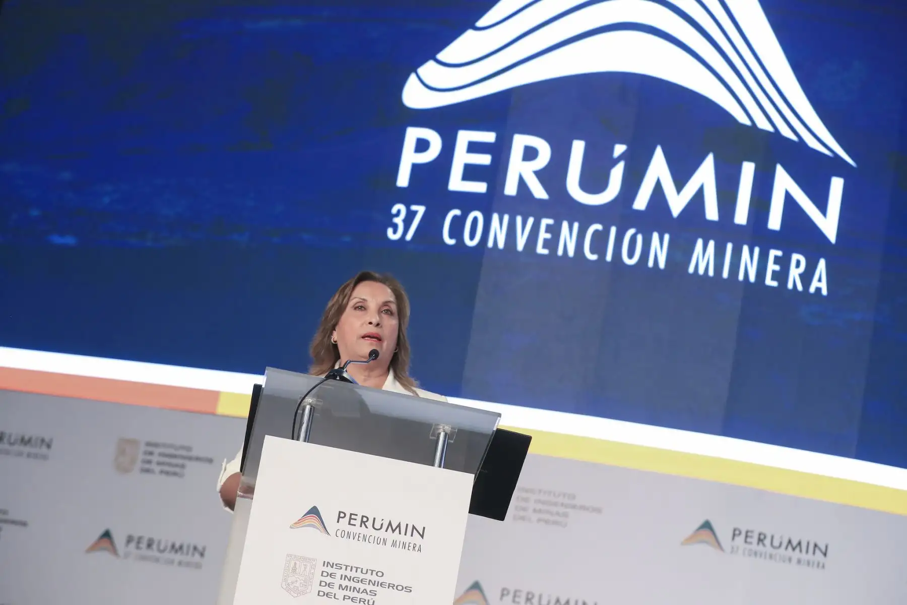 ANDINA/Prensa Presidencia