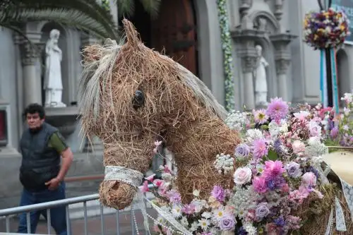 "Perú Flora 2025: El parque de Miraflores florece con colores, aromas y biodiversidad"
