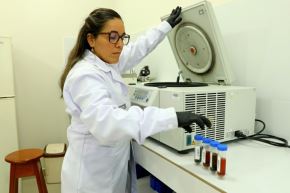 El Instituto de Investigaciones de la Amazonía Peruana descubre potencial farmacológico en plantas amazónicas. Foto: IIAP