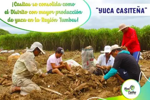 Foto-noticia