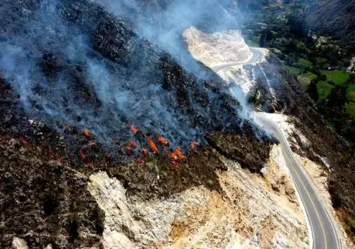 Los incendios forestales registrados este año en Cajamarca arrasaron con más de 700 hectáreas de pastizales y plantaciones de pino y eucalipto. ANDINA/Difusión