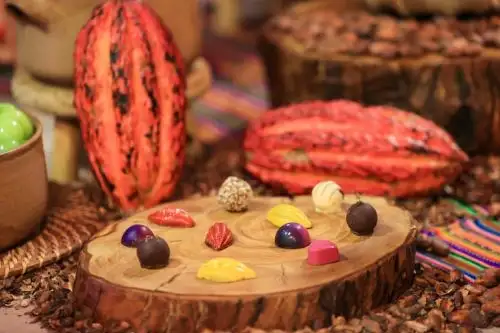 Cacao.