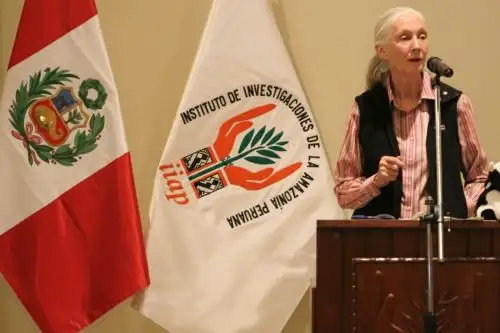 La Dra. Jane Goodall visitó nuestro país en dos ocasiones: en 2013 y en 2018.