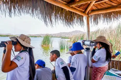 En el Perú, el October Big Day ha marcado cifras históricas de avistamiento de aves. Foto: MML/Difusión.