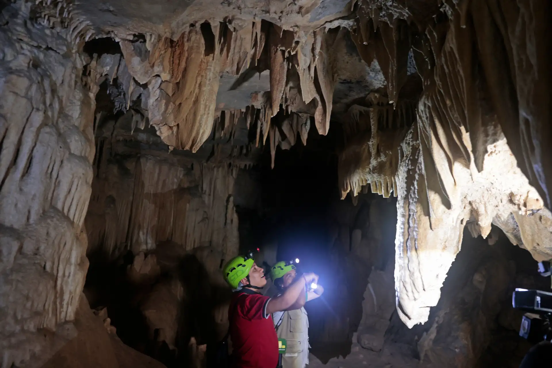 Cueva de Palestina: historia, geología y naturaleza milenaria