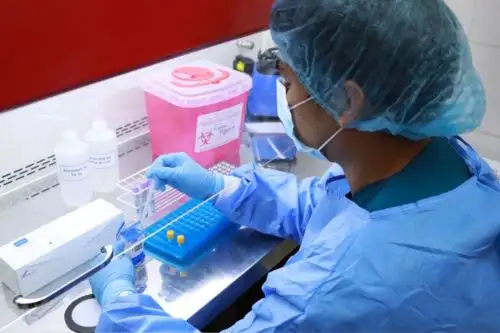Área de Biología Molecular
