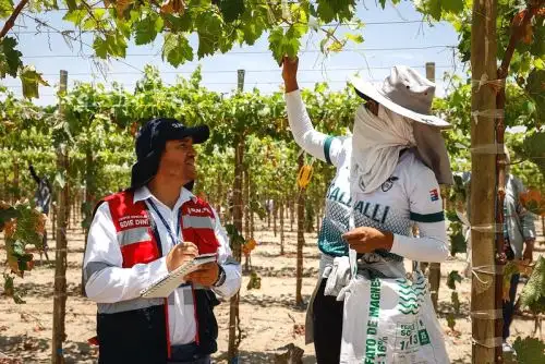 ASunafil participa en campaña de difusión de seguridad y salud de trabajo. Foto: ANDINA/Difusión