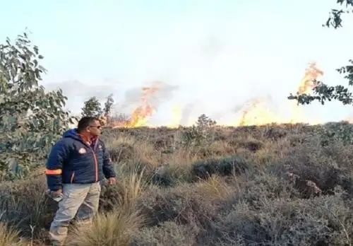Coer Arequipa despliega equipo técnico y brigadistas para apoyar en la extinción de un incendio forestal que se registra en el distrito arequipeño de Chiguata.