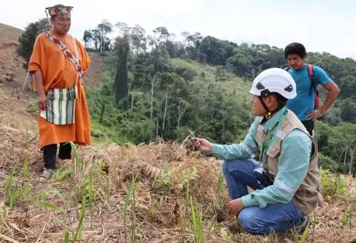 Osinfor impulsa, junto a otras instituciones vinculadas al tema forestal, la recuperación de bosques en los territorios indígenas de la Selva Central, en la región Junín. ANDINA/Difusión