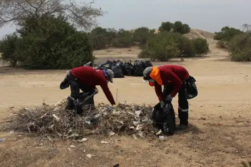 La jornada en el sitio arqueológico Chililí (Lambayeque) no solo se centró en la limpieza, sino también en la sensibilización comunitaria. Foto: Mincul