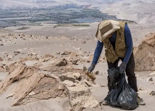 Personal de la Dirección Desconcentrada de Cultura de Arequipa ejecutó una jornada de limpieza en el complejo arqueológico de Toro Muerto y logró recolectar 30 bolsas de residuos sólidos. ANDINA/Difusión