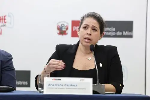Ministra de la Mujer y Poblaciones Vulnerables (Mimp), Ana Peña Cardoza. Foto: ANDINA/difusión.