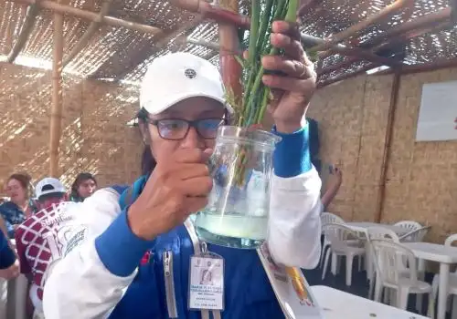 Brigadistas de la Gerencia Regional de Salud de Lambayeque inspeccionaron más de 50,000 viviendas para combatir el dengue y erradicar los criaderos del zancudo transmisor de la enfermedad en las tres provincias de la región.