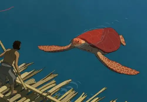 Cinta La Tortuga Roja.