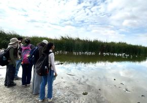 Decenas de observadores de aves y aficionados participaron del October Big Day, una jornada mundial de avistamiento de aves, en el humedal de Santa Julia, considerado uno de los espacios naturales de Piura con mayor biodiversidad de aves. ANDINA/Difusión