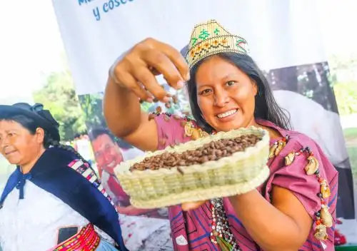 En el Día Internacional de las Mujeres Rurales, el Midagri resaltó que impulsan el liderazgo económico de más de 8,200 emprendedoras rurales de diversas regiones del país. ANDINA/Difusión
