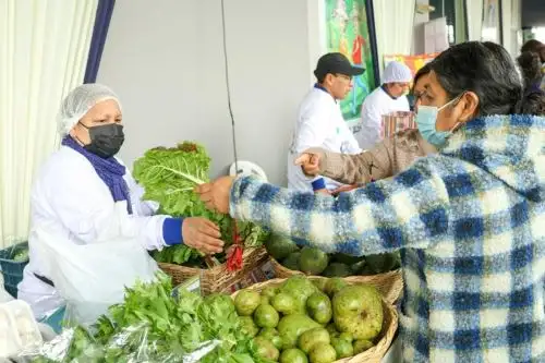 INEN promueve alimentación saludable para prevenir el cáncer con feria gastronómica. Foto: Difusión