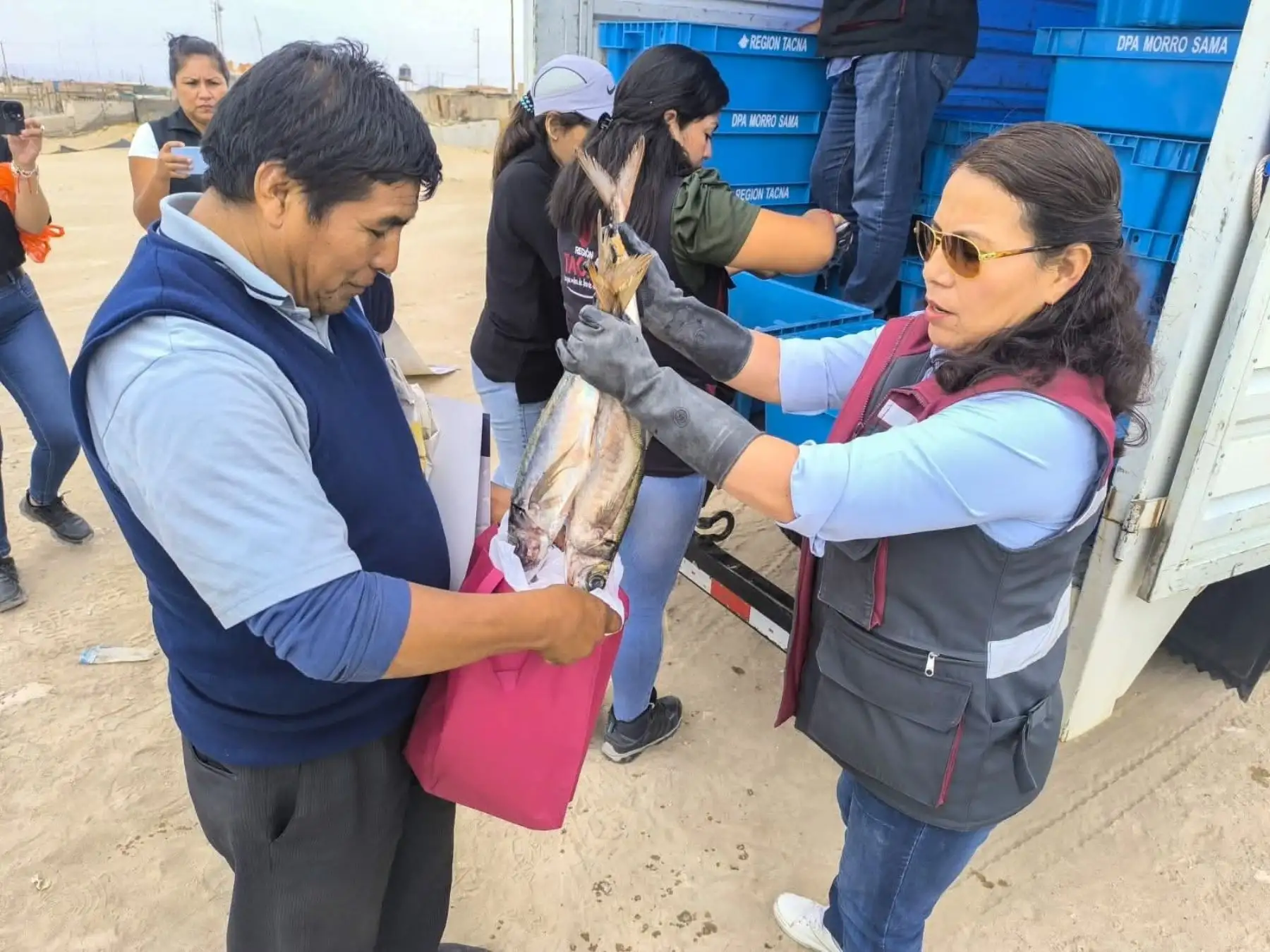 Tacna: promueven alimentación saludable con donación de dos toneladas de pescado y zapallo