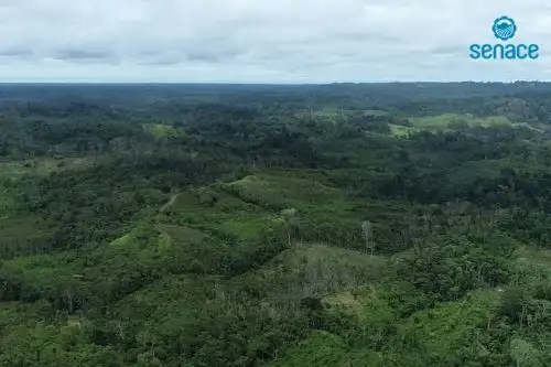ANDINA/Difusión