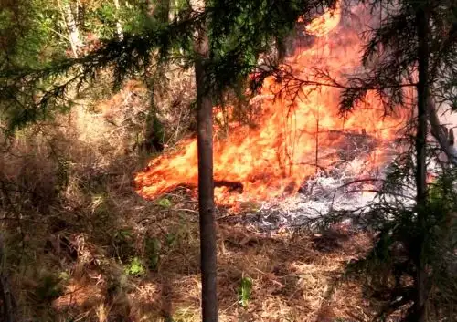 La temporada de incendios forestales en Cajamarca finalizó con una víctima. Una persona de 80 años falleció en Celendín. ANDINA/Difusión