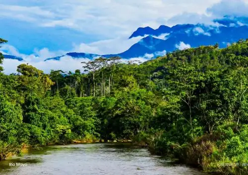 En el Día de las Áreas Naturales Protegidas 2025, el Sernanp destacó la labor que cumplen los guardaparques en la conservación de más de 30 millones de hectáreas de ecosistemas terrestres y marinos. ANDINA/Difusión