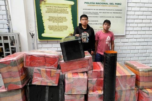 Sucamec incauta más de dos toneladas de pirotécnicos artesanales en distritos de Lima. Foto: ANDINA/Difusión.