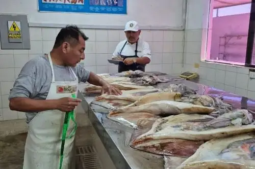 “Operación Calamar Gigante IV”. Cortesía Produce