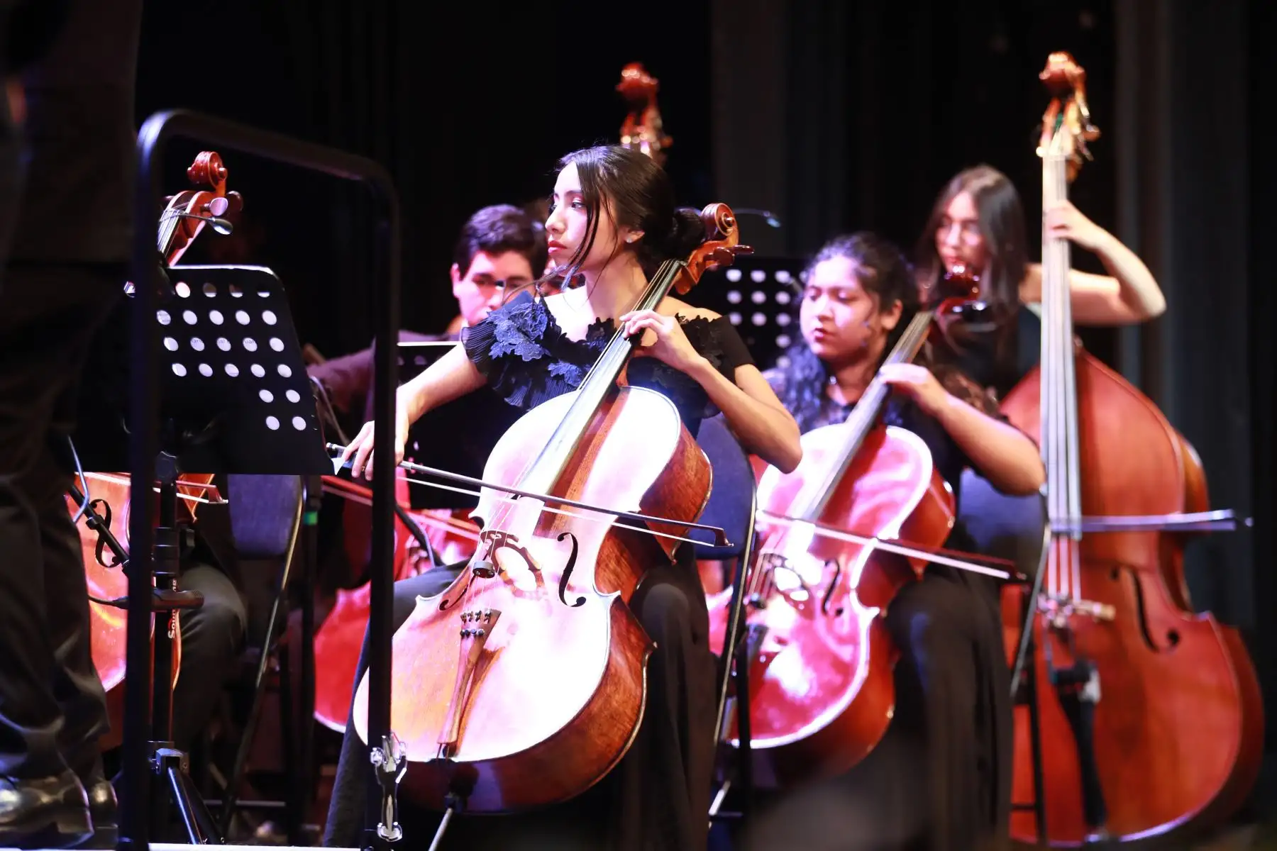En el marco de las actividades por el bicentenario del Diario Oficial El Peruano, esta noche se desarrolla la ceremonia central en el Teatro Auditorio Mario Vargas Llosa de la Biblioteca Nacional, en el distrito de San Borja, con la participarán autoridades y trabajadores de la institución.
Foto: ANDINA/Lino Chipana