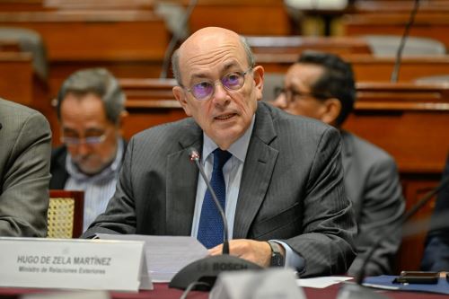 ANDINA/Difusión