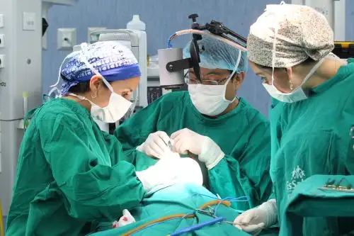 EsSalud implementará plan para reducir lista de espera en cirugías y consultas externas. Foto: ANDINA/Difusión.