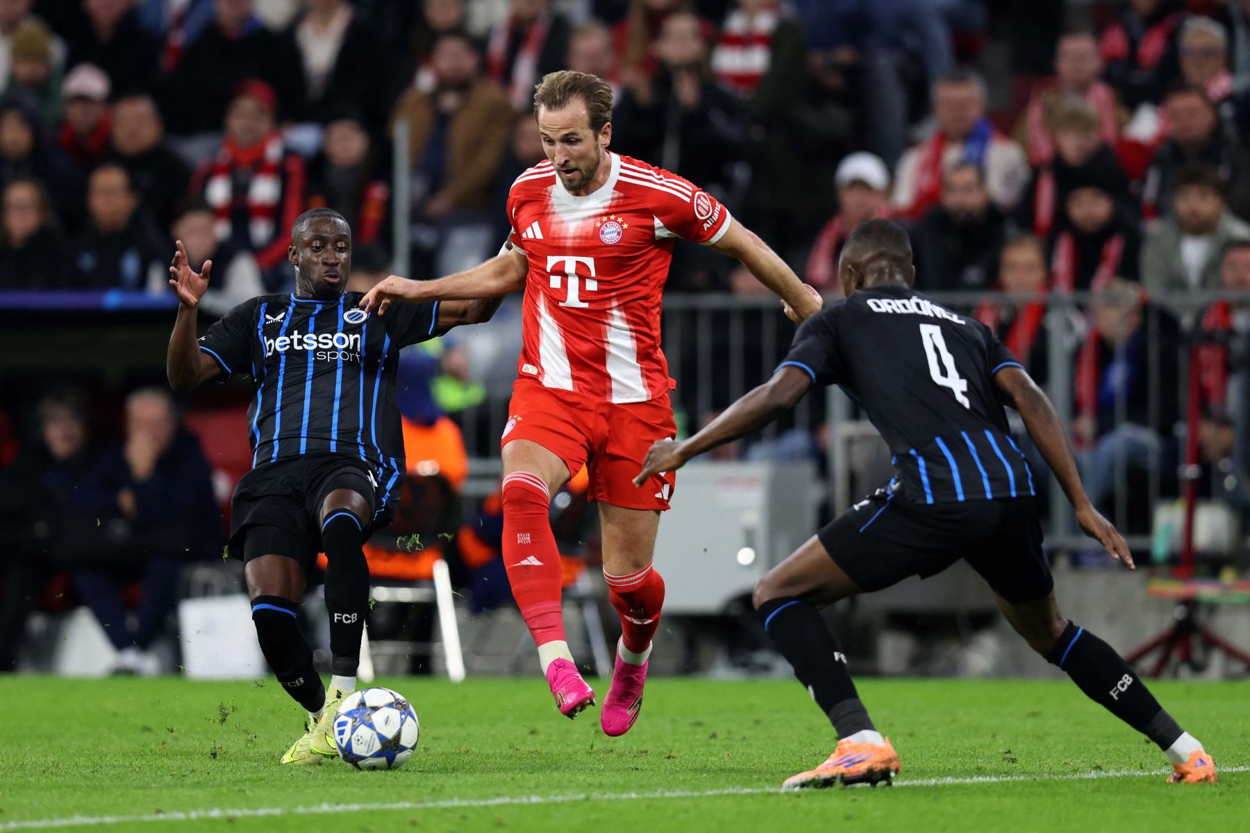 El delantero inglés del Bayern Múnich, Harry Kane, disputa el balón con el defensa ecuatoriano #04 del Club Brugge, Joel Ordóñez, y el delantero portugués  del Club Brugge, Carlos Forbs, durante el partido de la UEFA Champions League entre el FC Bayern Múnich y el Club Brugge en Múnich, sur de Alemania.
Foto: AFP
