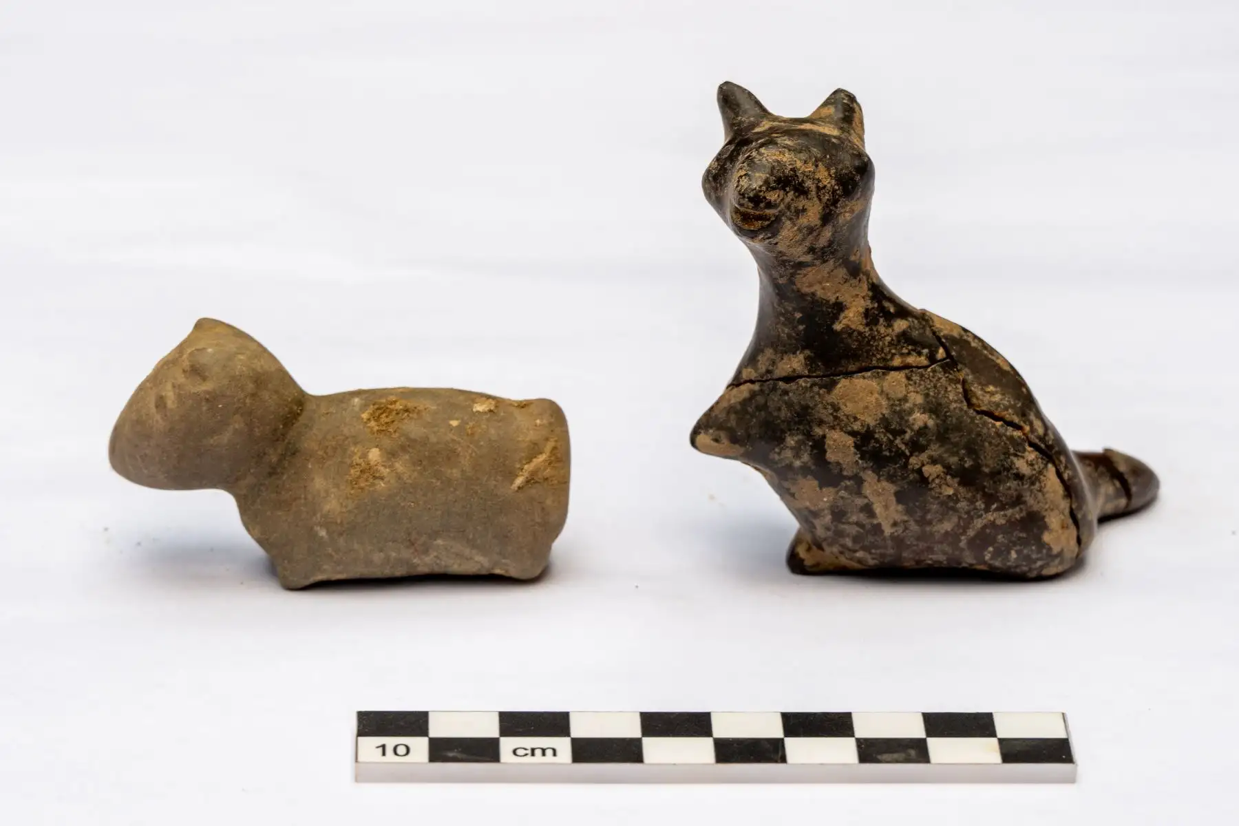 En este mismo espacio se hallaron dos conopas en forma de camélidos, objetos vinculados a rituales asociados al agua, lo que sugiere una función tanto simbólica como práctica de estos conductos dentro del conjunto arquitectónico. Foto: Proyecto de Investigación Arqueológico Xalca Grande de la Universidad Nacional Toribio Rodríguez de Mendoza de Amazonas