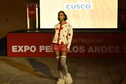 ANDINA/Difusión
