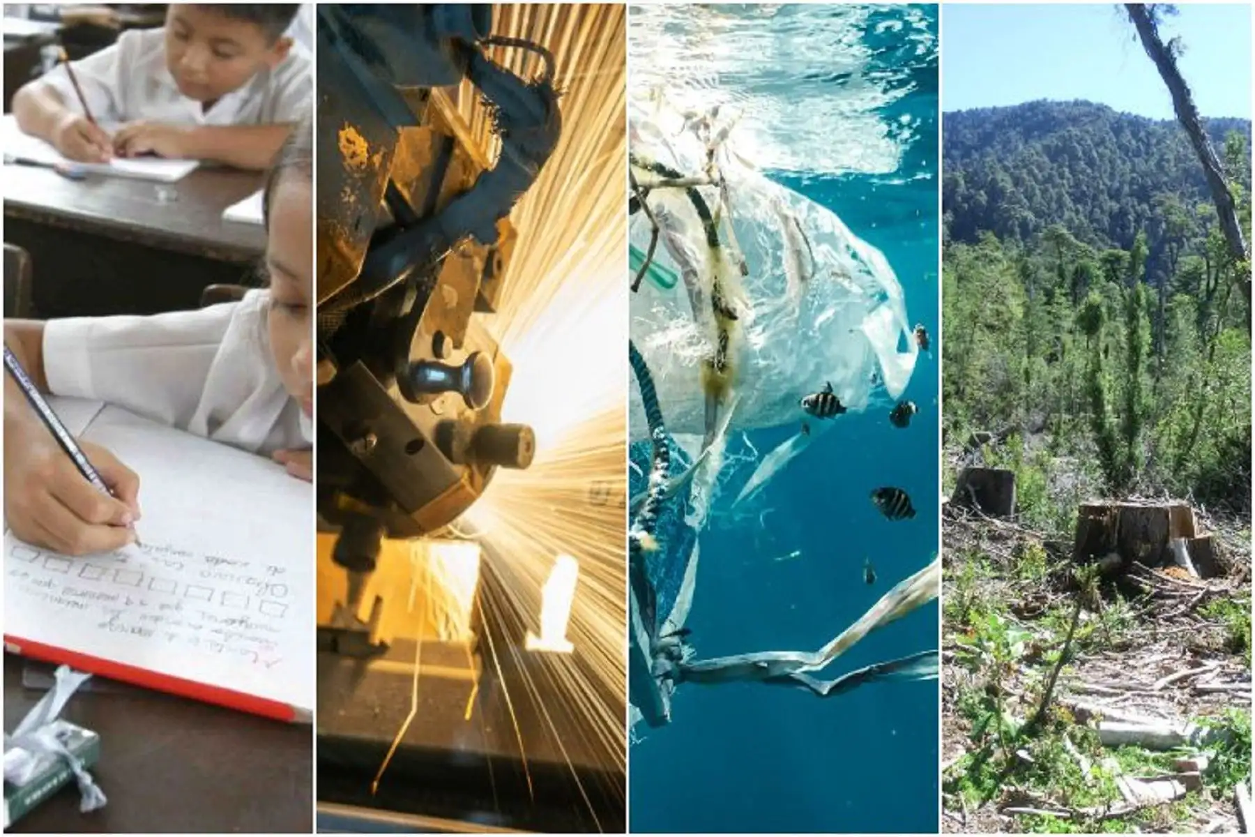 Los equipos participantes desarrollarán prototipos funcionales basados en Inteligencia Artificial (IA).