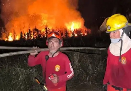 La labor de los bomberos de Tarapoto y otras localidades de San Martín fue fundamental para controlar y sofocar el incendio forestal registrado entre los distritos de Cacatachi y Rumisapa. ANDINA/Difusión