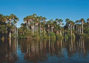 Perú presentará en la cumbre COP30, que se celebrará en Brasil, soluciones concretas para hacer frente a impactos del cambio climático. ANDINA/Difusión