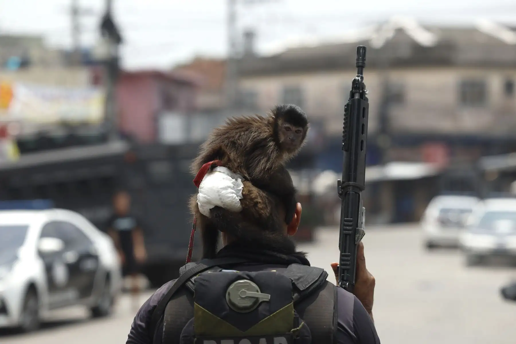 Integrantes de la Policía de Río de Janeiro realizan un operativo este martes, en Río de Janeiro (Brasil). La policía lanzó una gran operación en dos favelas con el objetivo de arrestar a los cabecillas del Comando Vermelho, la mayor facción criminal de la ciudad brasileña, y de frenar su expansión territorial. Foto: EFE Integrantes de la Policía de Río de Janeiro realizan un operativo este martes, en Río de Janeiro (Brasil). La policía lanzó una gran operación en dos favelas con el objetivo de arrestar a los cabecillas del Comando Vermelho, la mayor facción criminal de la ciudad brasileña, y de frenar su expansión territorial. Foto: EFE