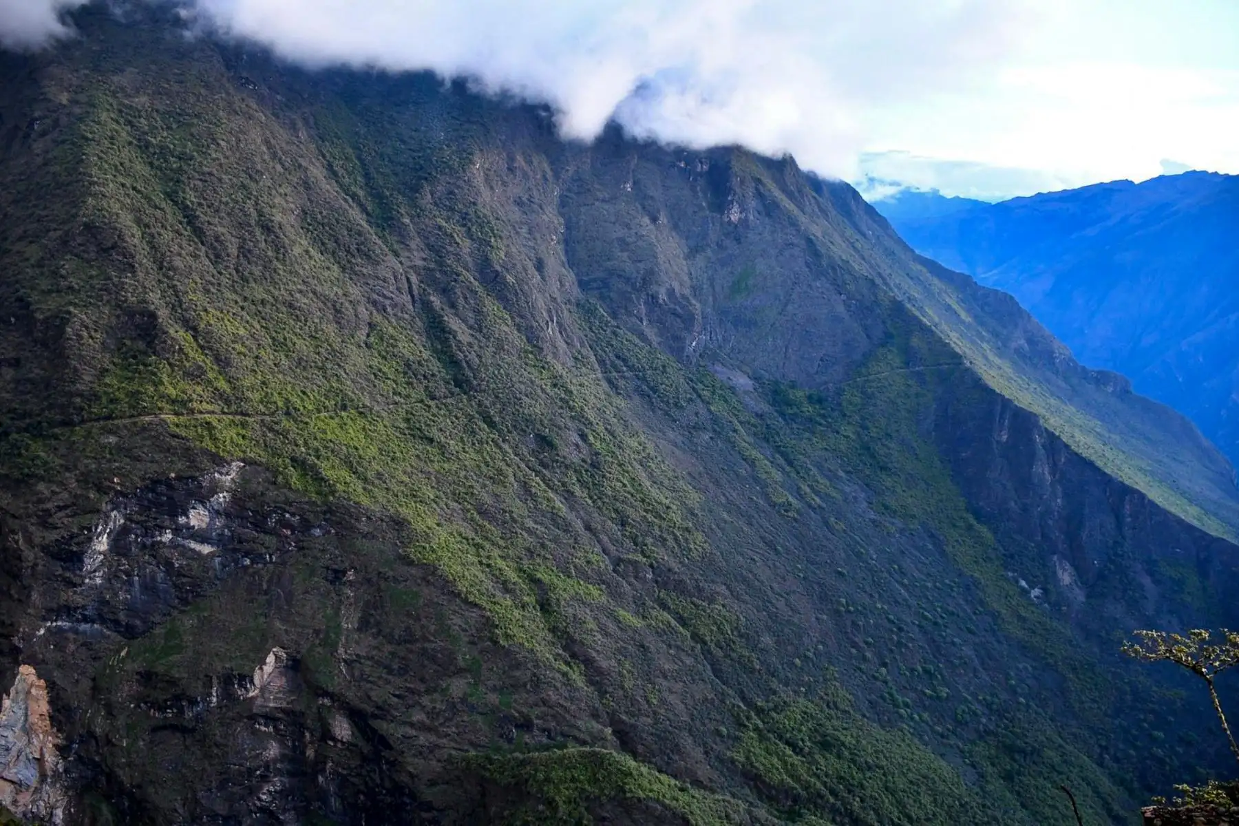 Parte del nuevo camino de herradura que permitirá a turistas nacionales y extranjeros acceder al parque arqueológico de Choquequirao por la ruta amazónica de Santa Teresa, en la provincia cusqueña de La Convención. Foto: Difusión Parte del nuevo camino de herradura que permitirá a turistas nacionales y extranjeros acceder al parque arqueológico de Choquequirao por la ruta amazónica de Santa Teresa, en la provincia cusqueña de La Convención. Foto: Difusión