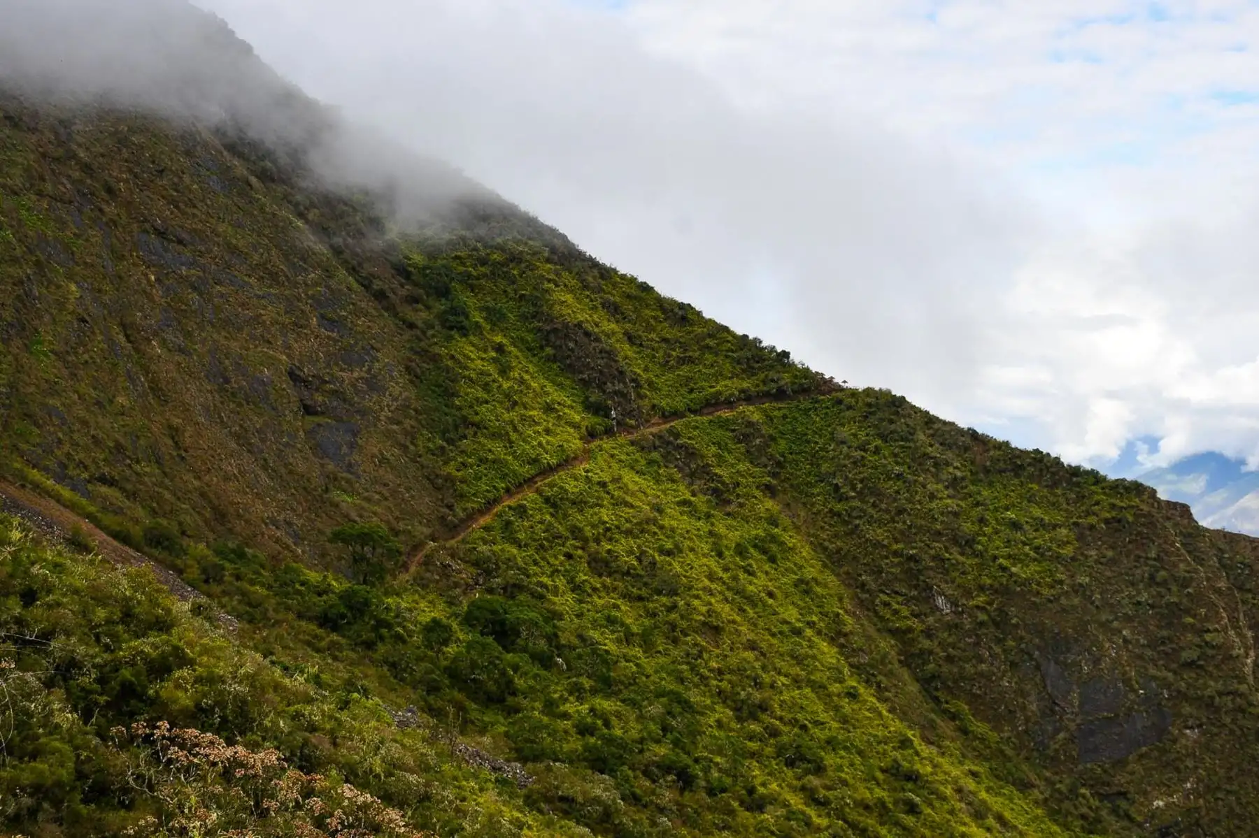 Parte del nuevo camino de herradura que permitirá a turistas nacionales y extranjeros acceder al parque arqueológico de Choquequirao por la ruta amazónica de Santa Teresa, en la provincia cusqueña de La Convención. Foto: Difusión Parte del nuevo camino de herradura que permitirá a turistas nacionales y extranjeros acceder al parque arqueológico de Choquequirao por la ruta amazónica de Santa Teresa, en la provincia cusqueña de La Convención. Foto: Difusión