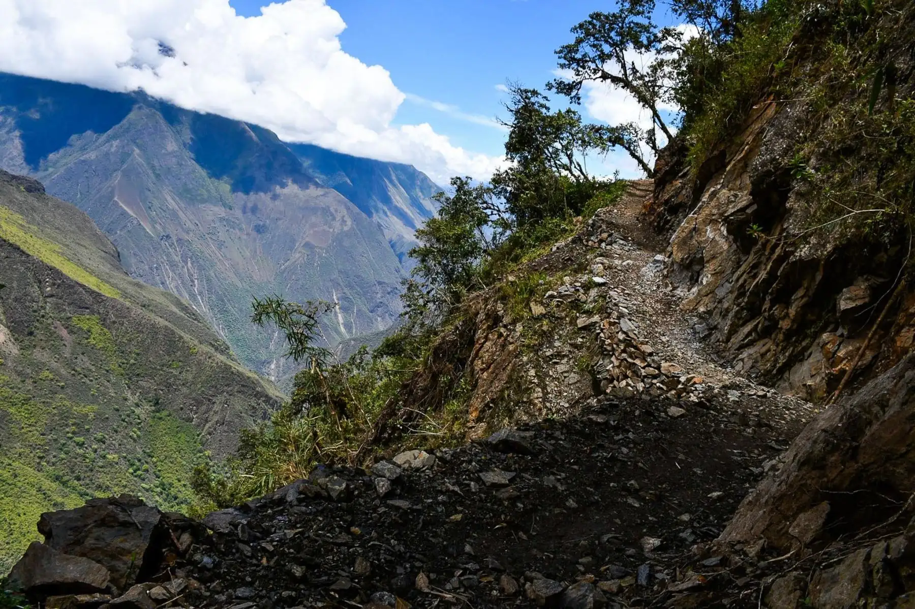 El proyecto, valorizado en más de 3.3 millones de soles, permitirá conectar la ruta amazónica con el circuito Machu Picchu–Santa Teresa–Hidroeléctrica–Aguas Calientes. Foto: Difusión El proyecto, valorizado en más de 3.3 millones de soles, permitirá conectar la ruta amazónica con el circuito Machu Picchu–Santa Teresa–Hidroeléctrica–Aguas Calientes. Foto: Difusión
