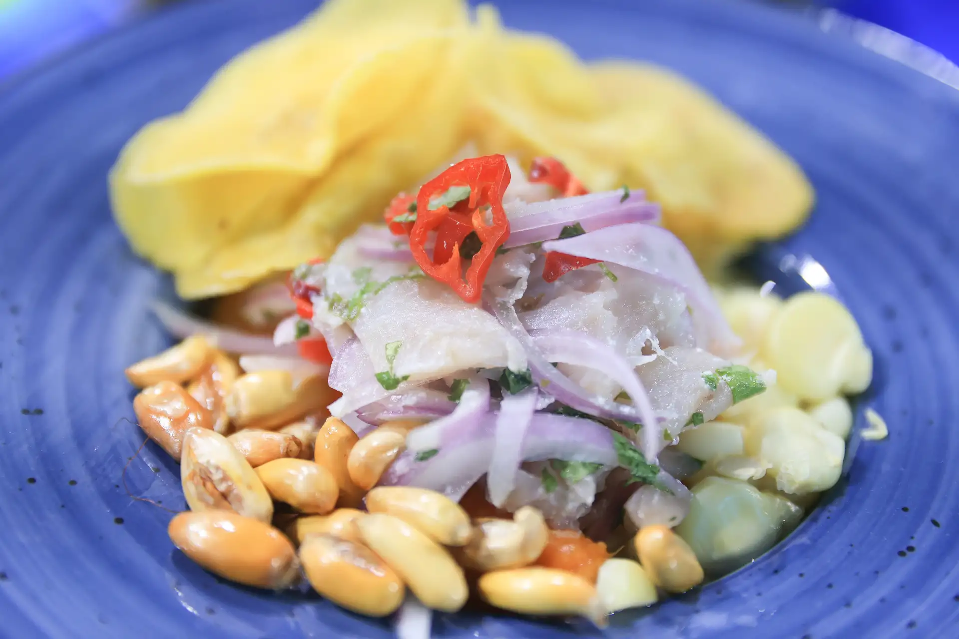 Si crees que llegar a la Costa Verde es complicado, no te preocupes. La organización del evento ha dispuesto la habilitación de un conjunto de "buses del sabor" que partirán desde cuatro puntos de la capital rumbo al recinto ubicado en Magdalena del Mar. Foto: ANDINA/Jhonel Rodríguez Robles Si crees que llegar a la Costa Verde es complicado, no te preocupes. La organización del evento ha dispuesto la habilitación de un conjunto de "buses del sabor" que partirán desde cuatro puntos de la capital rumbo al recinto ubicado en Magdalena del Mar. Foto: ANDINA/Jhonel Rodríguez Robles