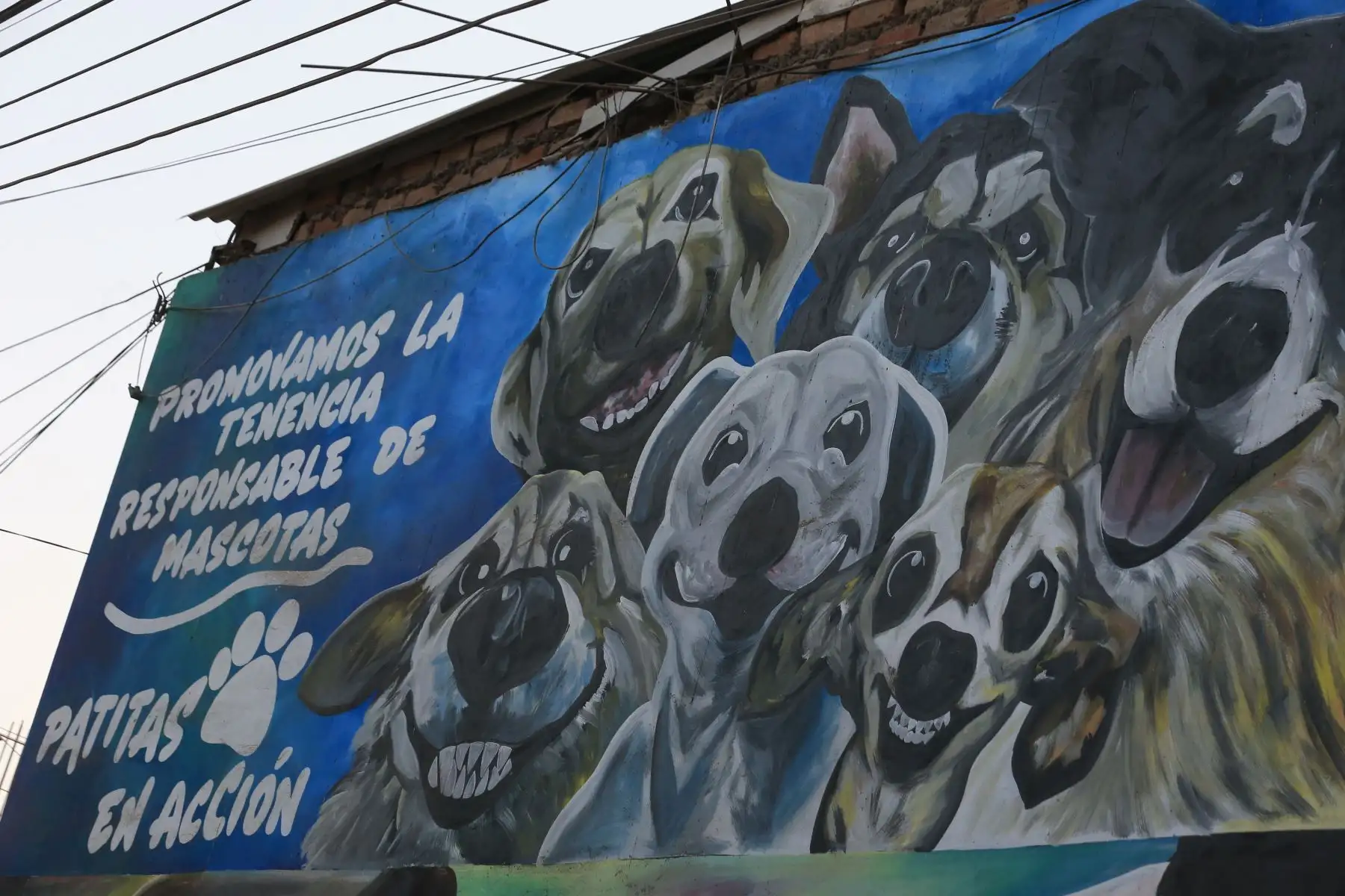 Como símbolo del proyecto, los estudiantes pintaron un mural en una de las paredes del colegio, con apoyo de la municipalidad de Puente Piedra.  Foto: ANDINA/Héctor Vinces.