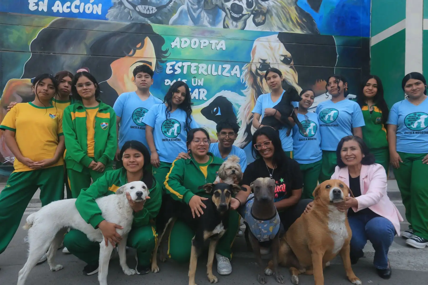 Un grupo de estudiantes y docentes de un colegio de Puente Piedra impulsa una campaña para que el Congreso de la República apruebe la incorporación de la tenencia responsable de mascotas en la malla curricular escolar, ante la alarmante cifra de cuatro millones de perros abandonados en Lima, según organizaciones animalistas.Foto: ANDINA/Héctor Vinces.