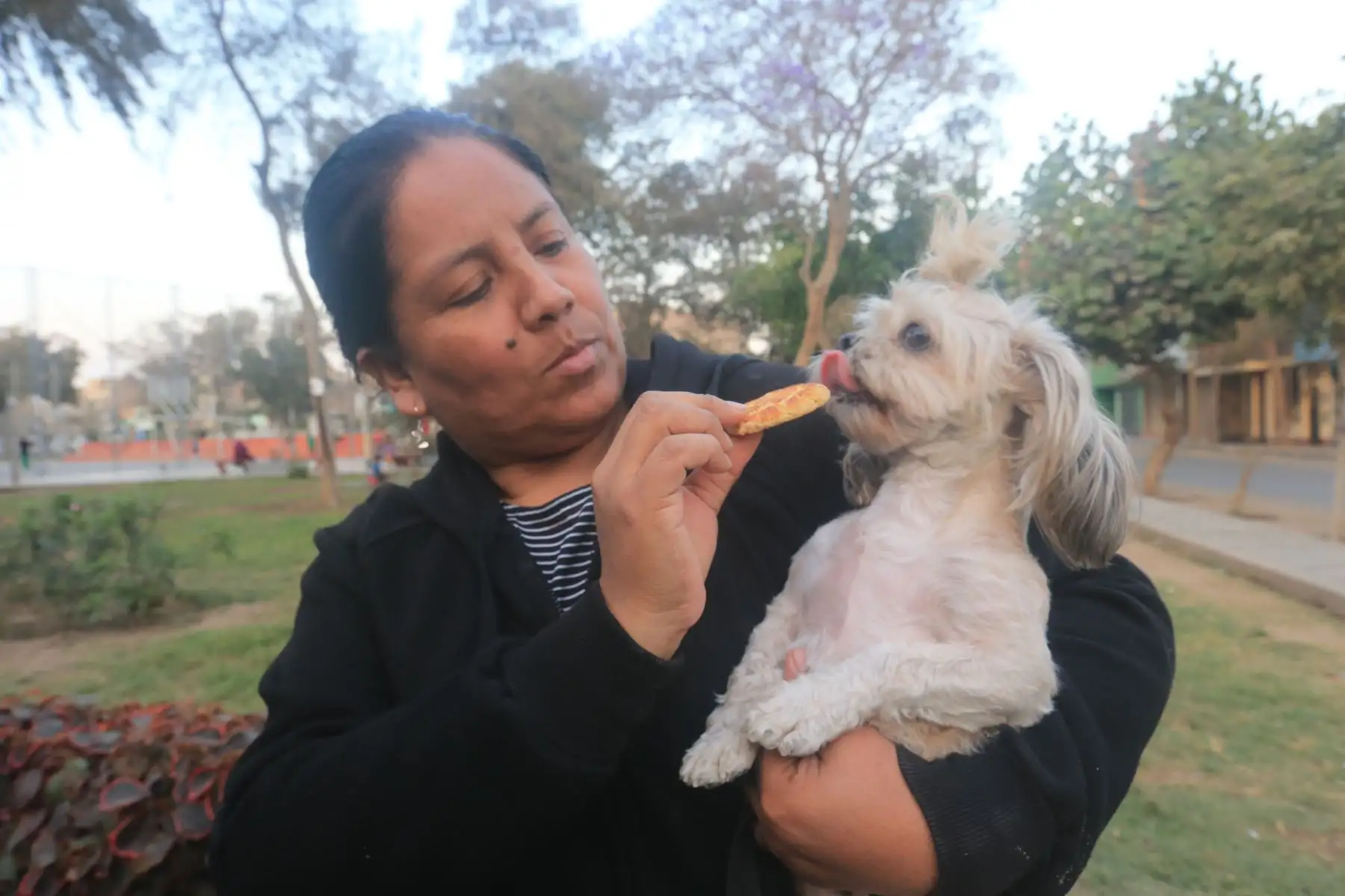 El abandono de animales, advirtió, no solo perjudica a las mascotas, sino que también afecta al entorno.Foto: ANDINA/Héctor Vinces.
