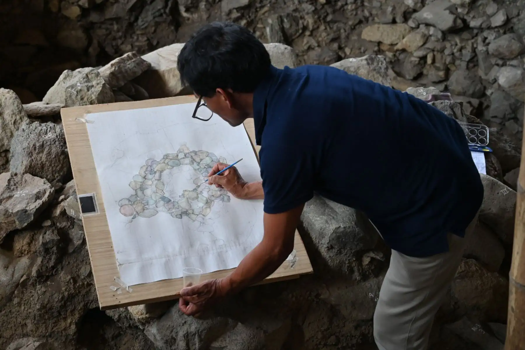 Algunas son verdes, otras marrones o rojizas, y habrían sido seleccionadas por su carácter sagrado y simbólico. Foto: Cortesía Asociación para la Investigación Científica de la Amazonía de Perú. Algunas son verdes, otras marrones o rojizas, y habrían sido seleccionadas por su carácter sagrado y simbólico. Foto: Cortesía Asociación para la Investigación Científica de la Amazonía de Perú.